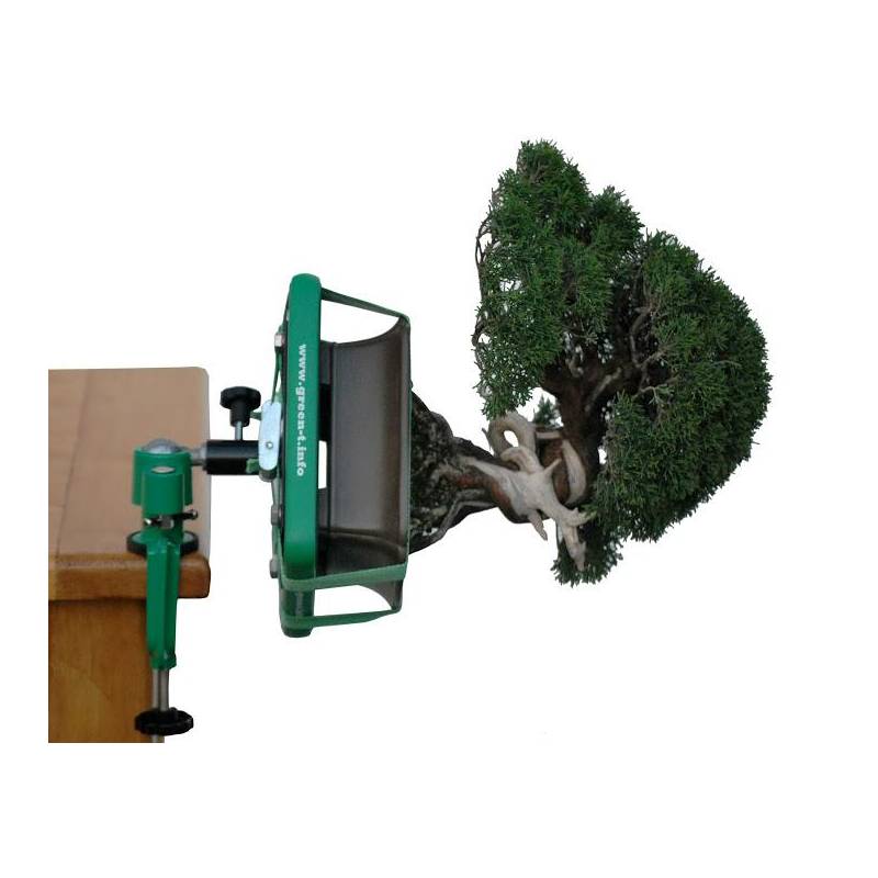 lego bonsai beleuchtung LEGO Japanese Red Maple Bonsai Tree #10348 DIY Light Bundle  Light My  Bricks EU