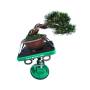 4 - Tavolo professionale da lavoro con ventosa per Bonsai Shohin Green-T