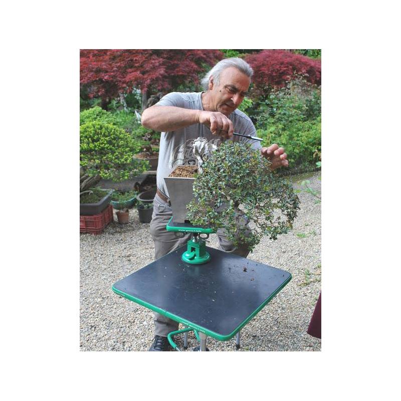Professioneller quadratischer Arbeitstisch fr Bonsai Green-T PLUS | 495,00   | Pollice Verde