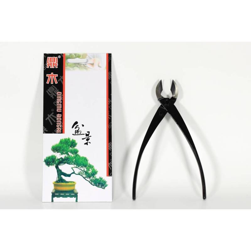 Pince à bonsaï semi-professionnelle à coupe oblique mm. 180 - Pollice Verde Store - Centro Bonsai
