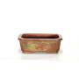 2 - Vaso bonsai rettangolare cm. 15 artigianale