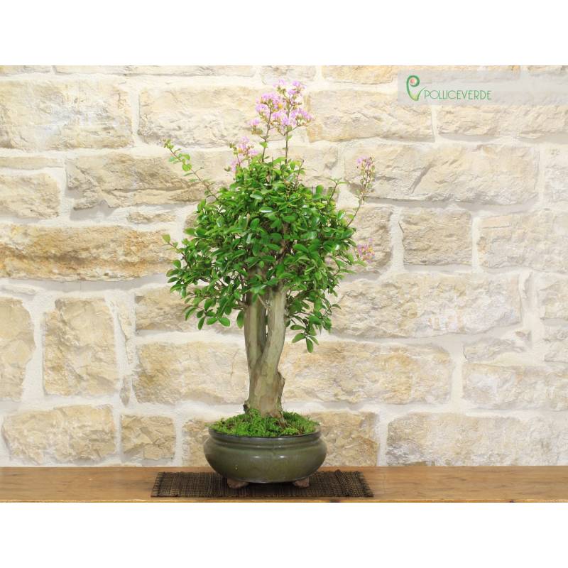 bio bambus stoff kaufen Bambus Musselin Lemon Life (Bio) VORBESTELLUNG – NH Stoffe main image 0