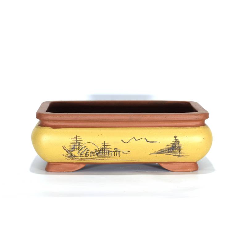 CERTRE Sottovaso Per Bonsai Rettangolare In Gres - Made In Italy, Blu Elettrico Smaltato 18x14x2 Cm - 3