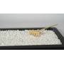 2 - Agriperlite 3/5 mm. - confezione da 2 lt.