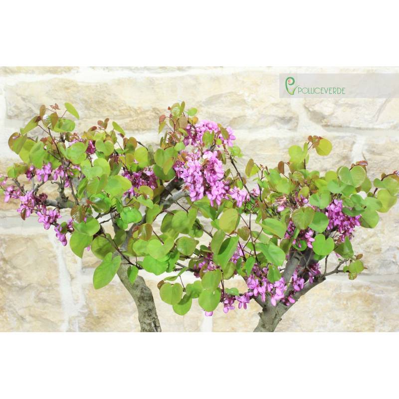 blumentopf bambus ikea Künstlicher Bambus Topf - Naoto | 25 cm