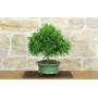 2 - 