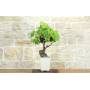 1 - 