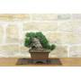 4 - 