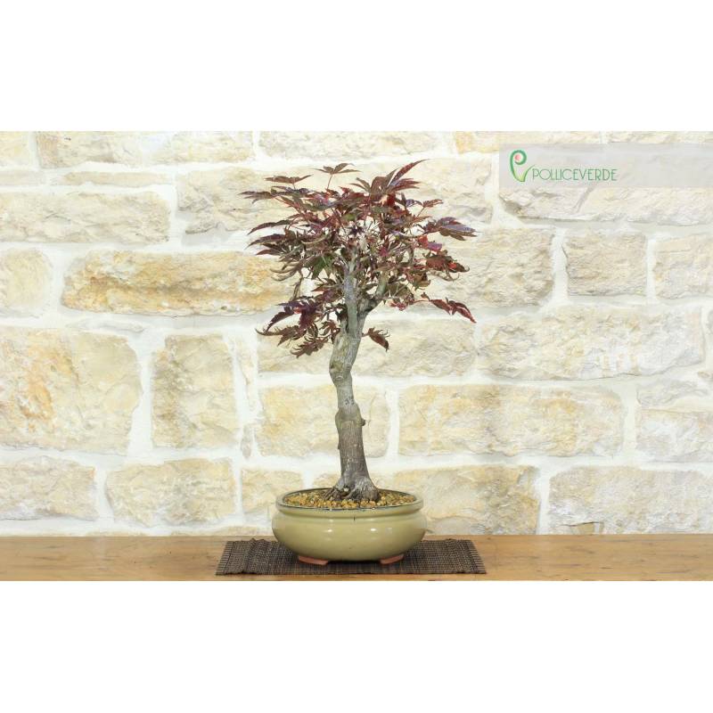 japan bonsai shop Miniature Pagoda Tower, Miniature Pagoda Statue, Bonsai Decoration, Garden Statues , Bonsai Figurines main image 1