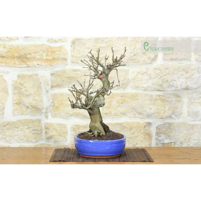 bambus beistelltisch Beistelltisch rund Bambus Natur groß – Living and Goods main image 1