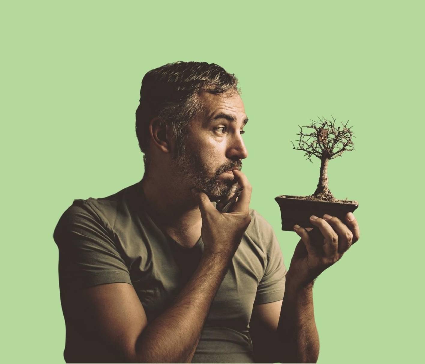 rinvasare  un bonsai : come, quando e perché farlo