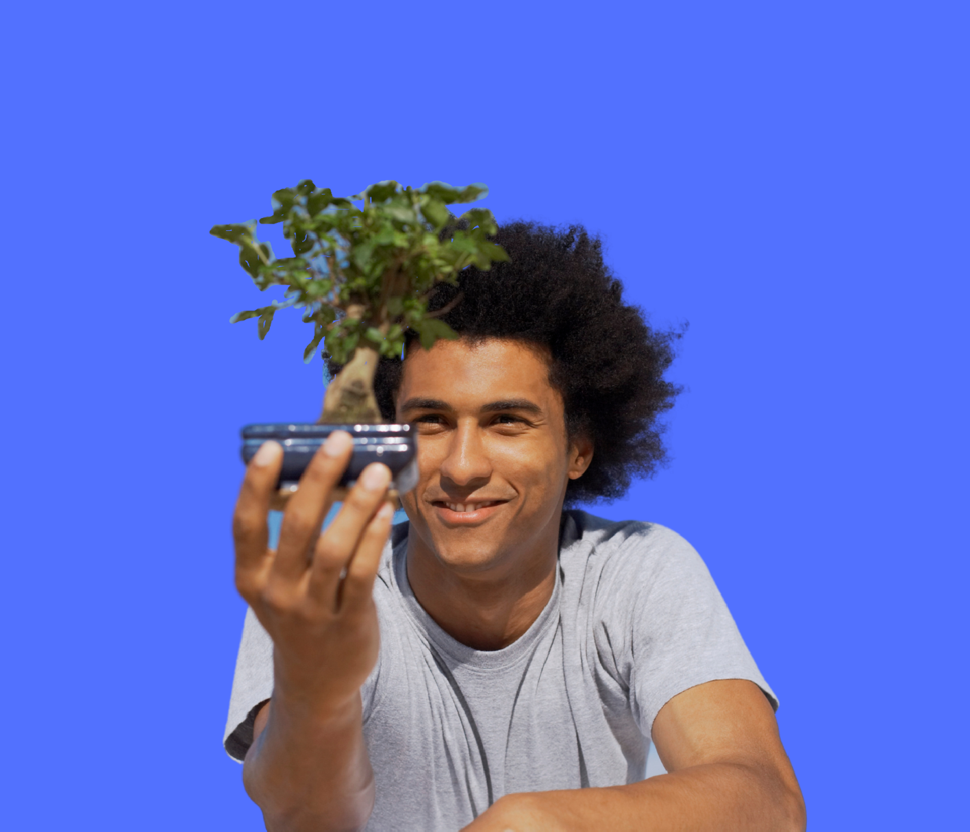 concimare il tuo bonsai