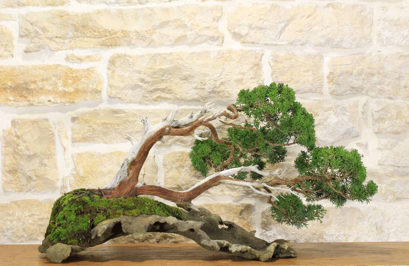 Wacholder-Bonsai: Ein Leitfaden für die Kunst des Trockenholzes und des Stapelns