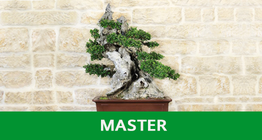 5 Pezzi Di Corda Di Cotone Da 6 Mm Per Autoirrigazione - Stoppini Per Vasi Fai-da-te, Giardinaggio Interno, Bonsai